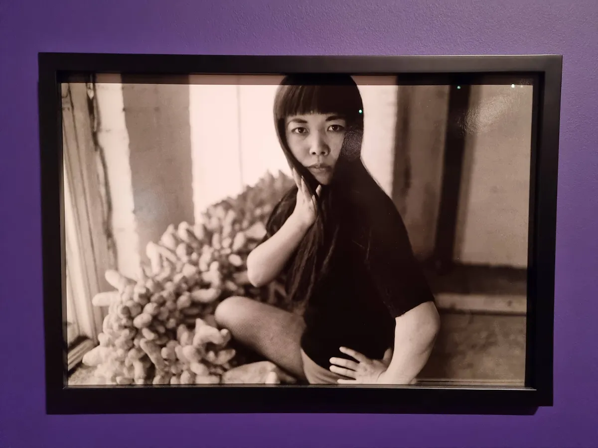 Yayoi Kusama Gallery Image 66